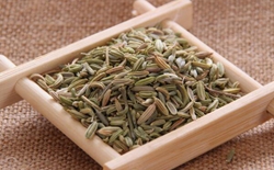 如何選擇茶葉包裝機(jī)廠家？選擇標(biāo)準(zhǔn)解析茶葉包裝機(jī)廠家。