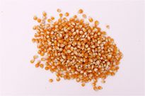 全自動(dòng)顆粒包裝機(jī)替人們解決了很多問題